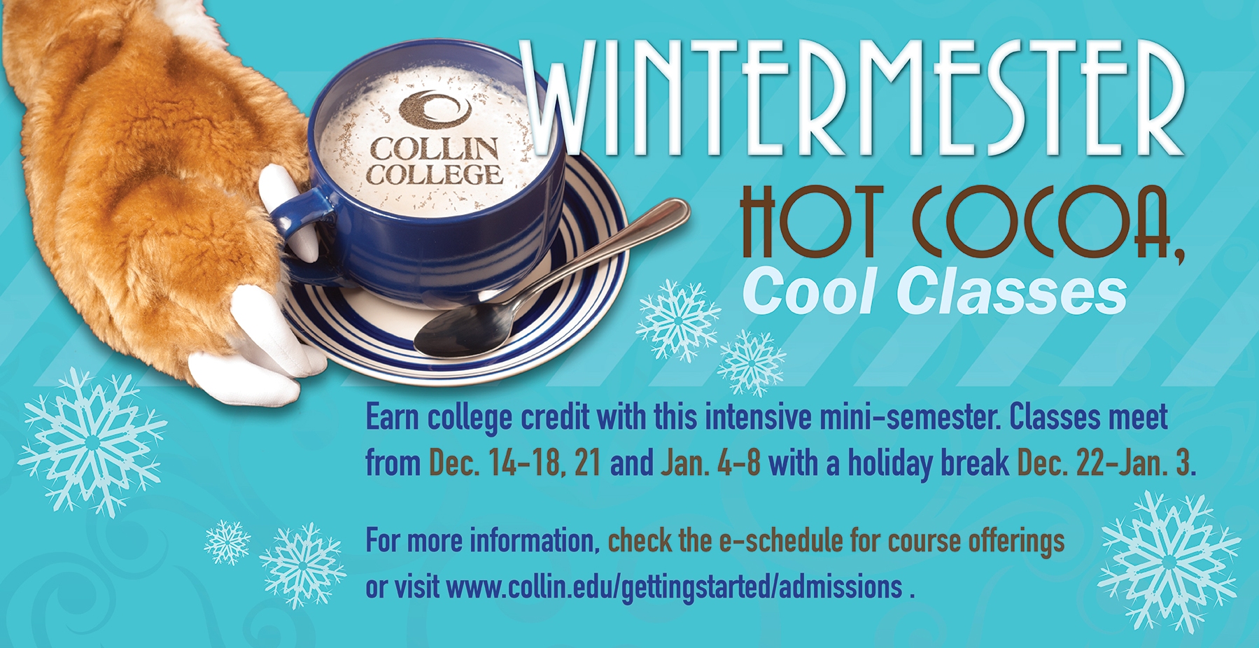 Collin-college-Wintermester classes