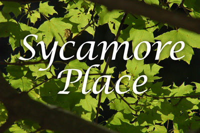 Sycamore Place, Fairview Texas