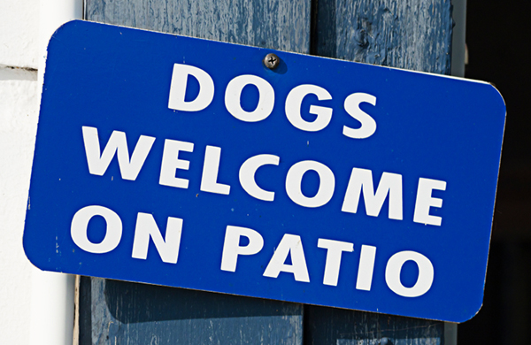 Dogs Welcome on Patio sign posted outside cafe