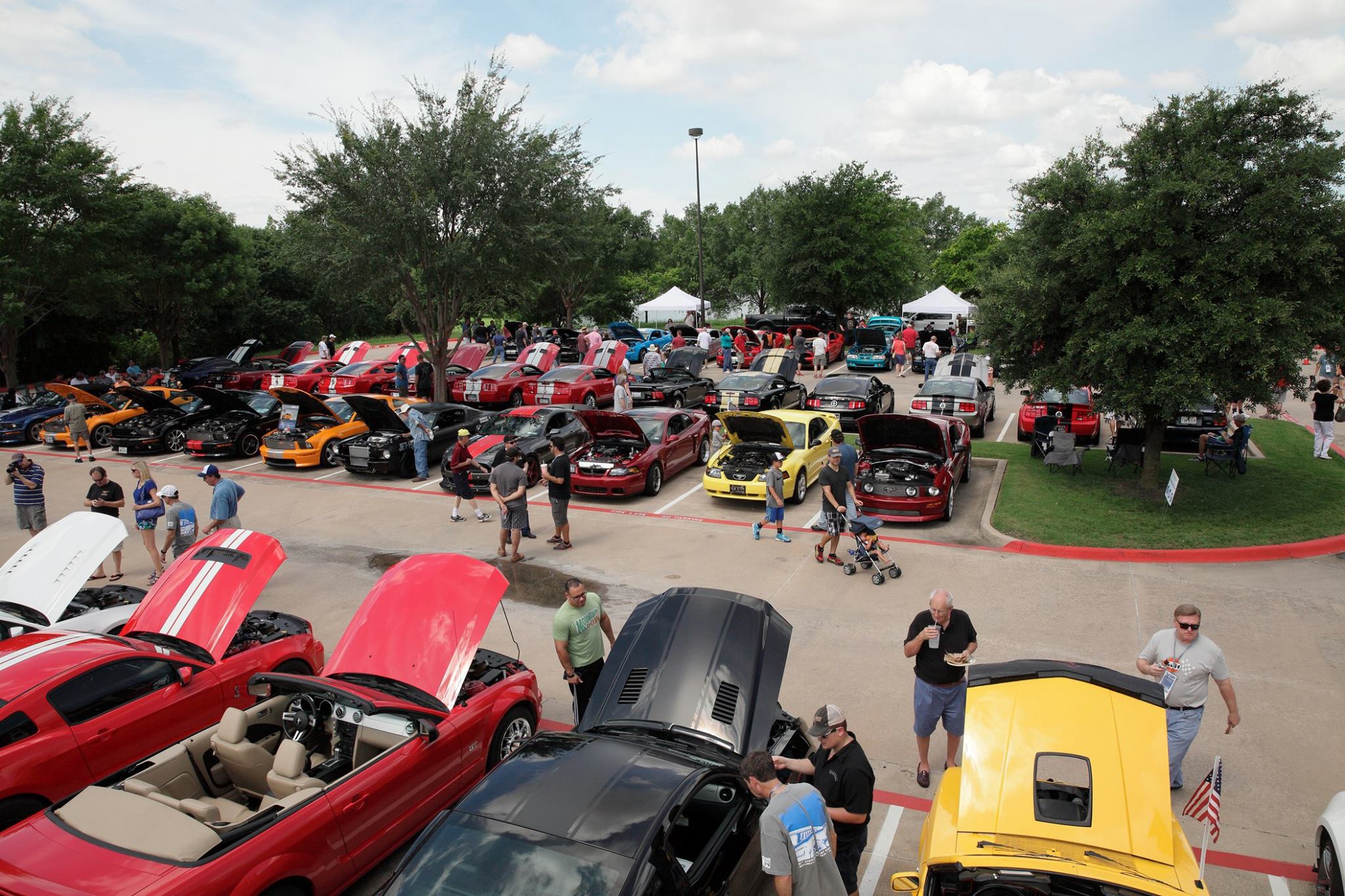 Shelby Car Show in Plano