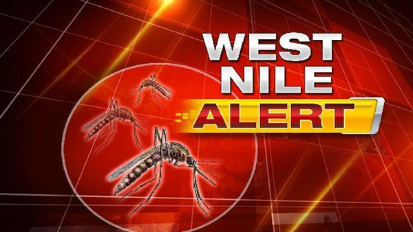 Frisco test positive for West Nile virus
